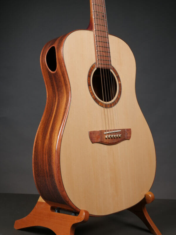 Peterson D-100MY - Image 5