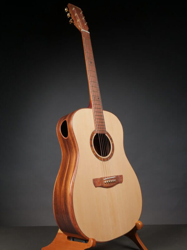 Peterson D-100MY - Image 6