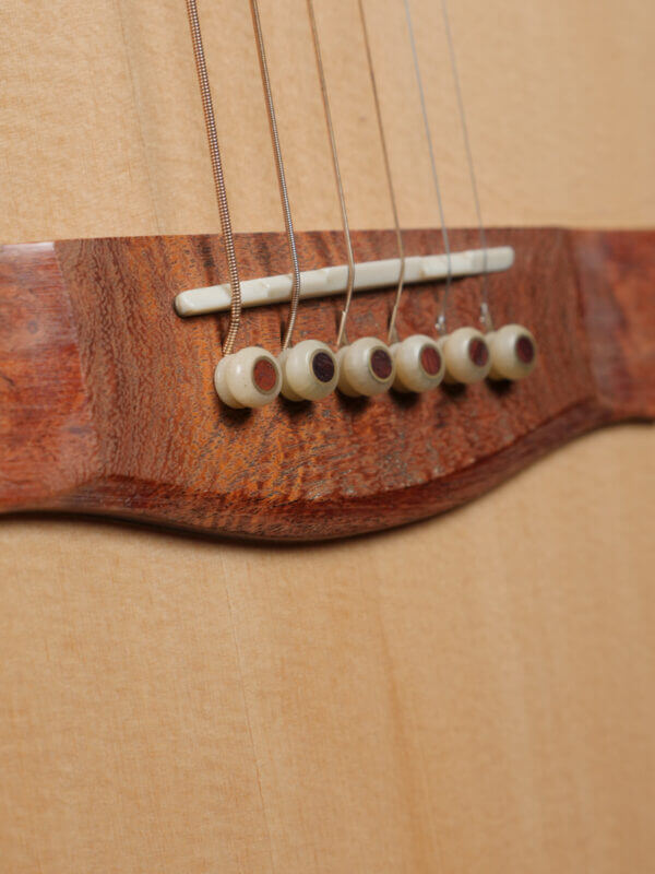 Peterson D-100MY - Image 8