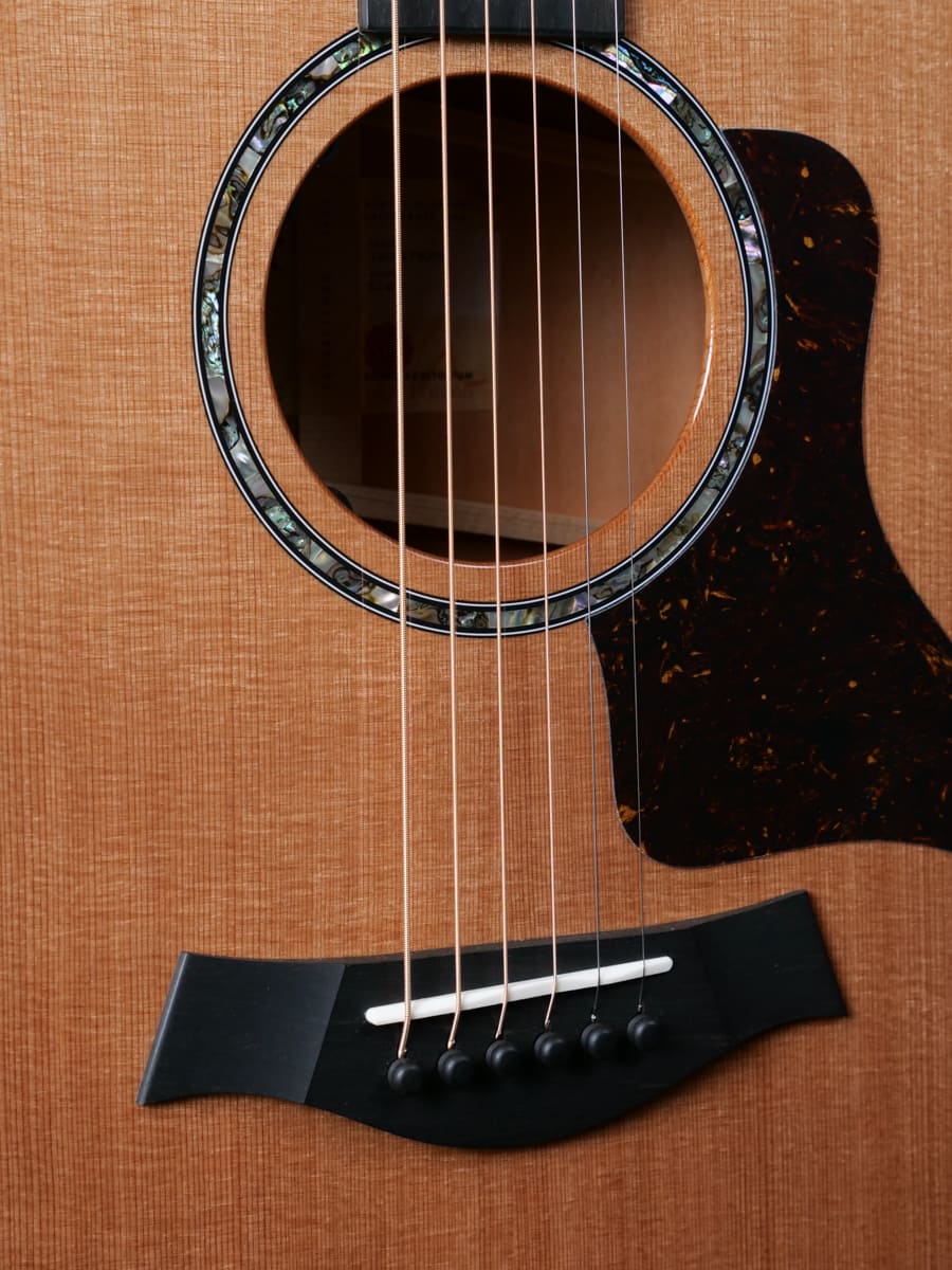Taylor Next Generation 514ce - Image 2