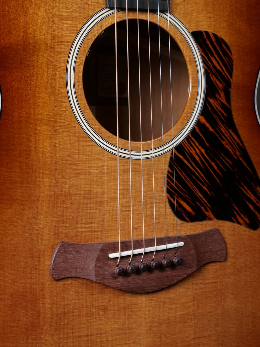 Taylor 514e Gold Label - Image 4
